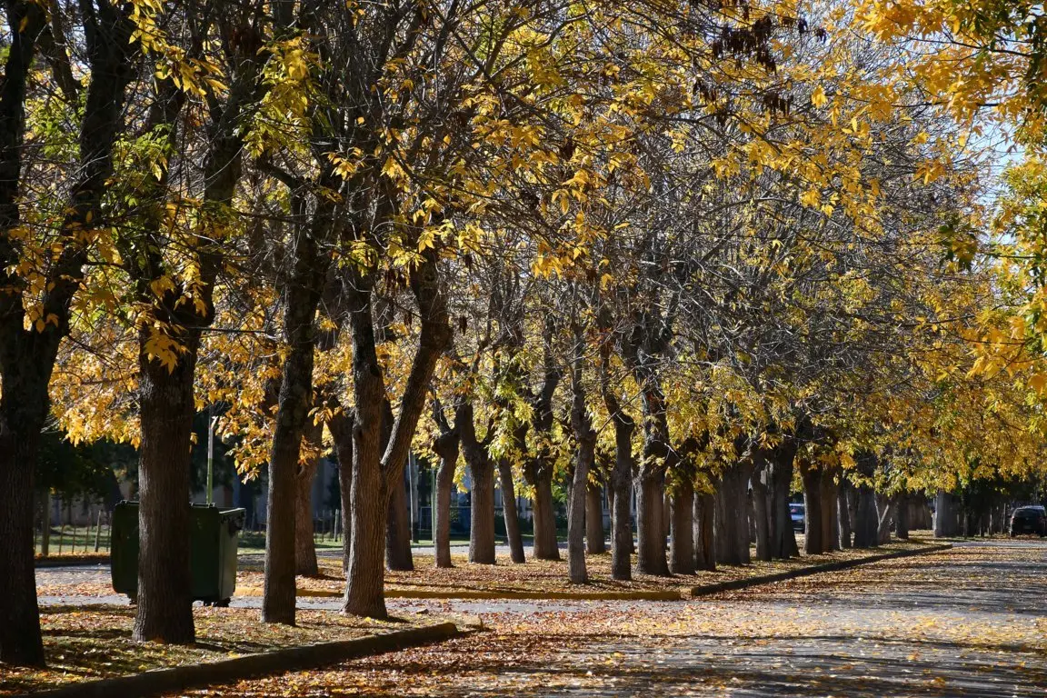 Caminatas